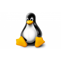 Linux
